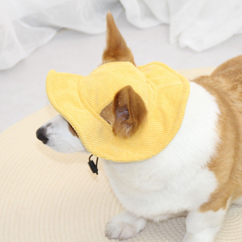 Lukydog Corduroy Cap