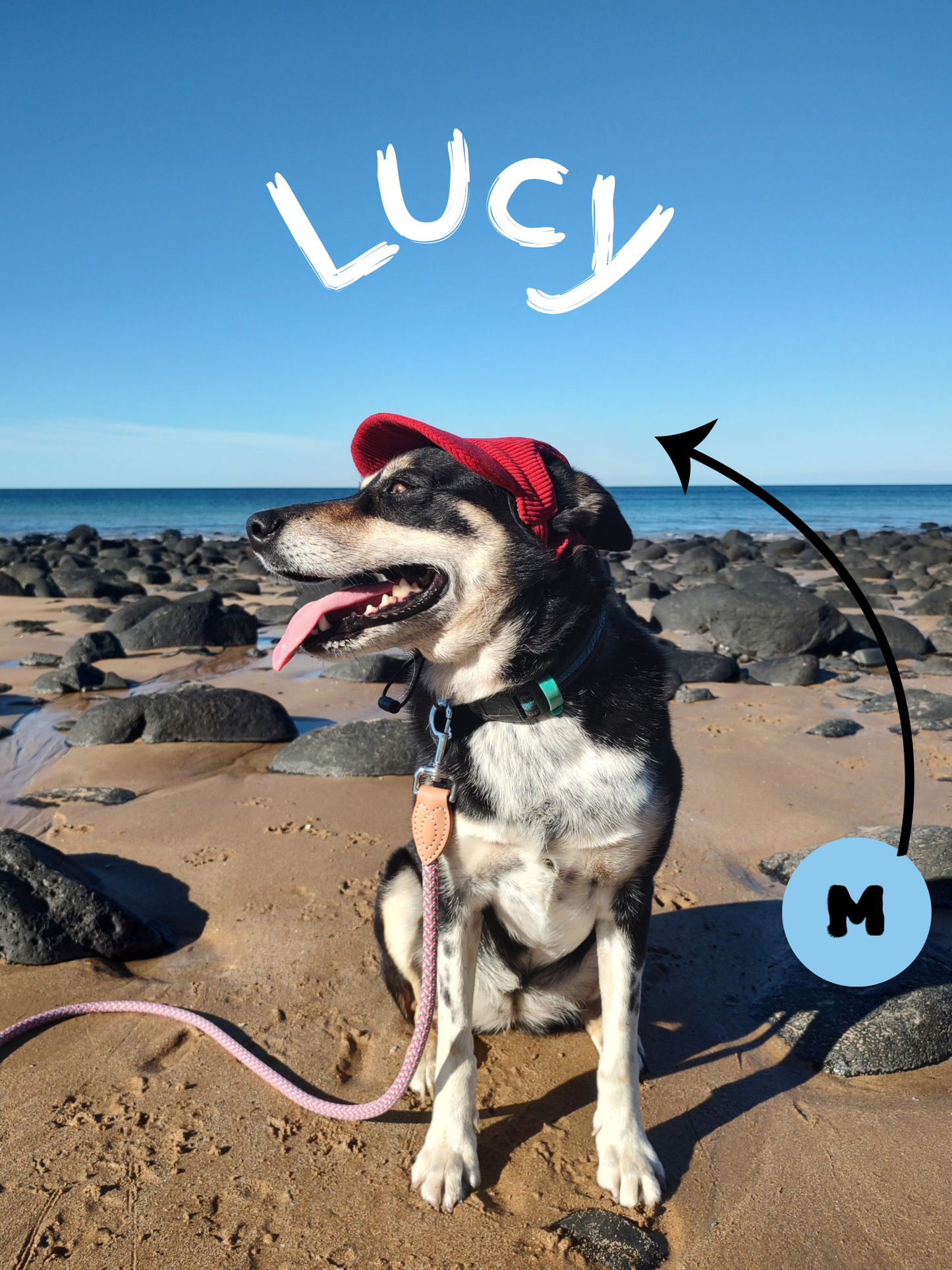 Lukydog Corduroy Cap