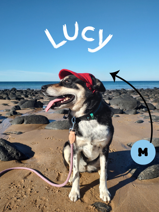 Lukydog Corduroy Cap
