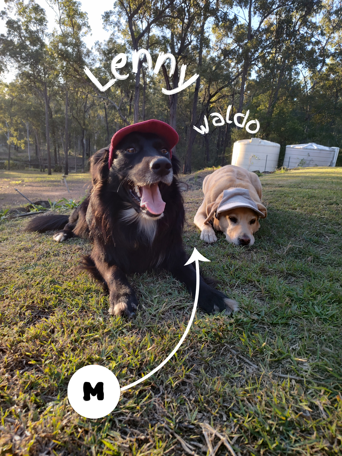 Lukydog Corduroy Cap